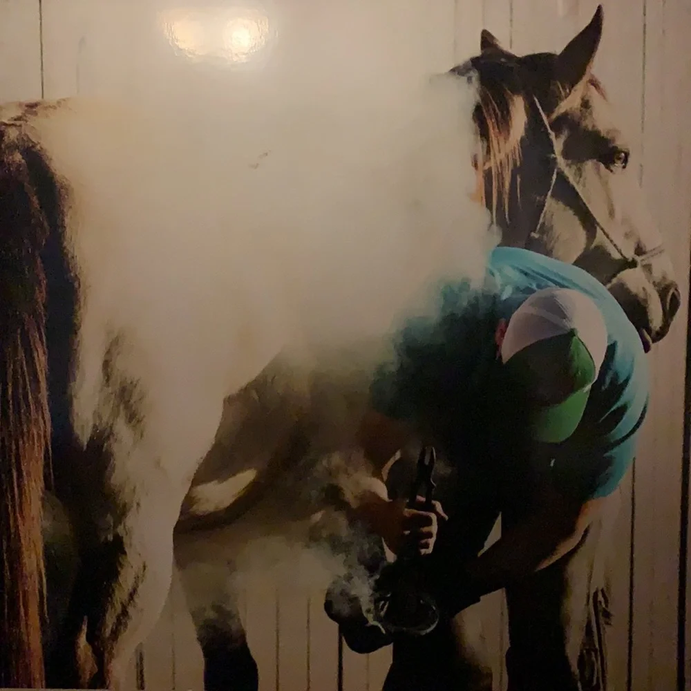 Authentic Rusty Lucky horseshoe - Picture 3 of 3